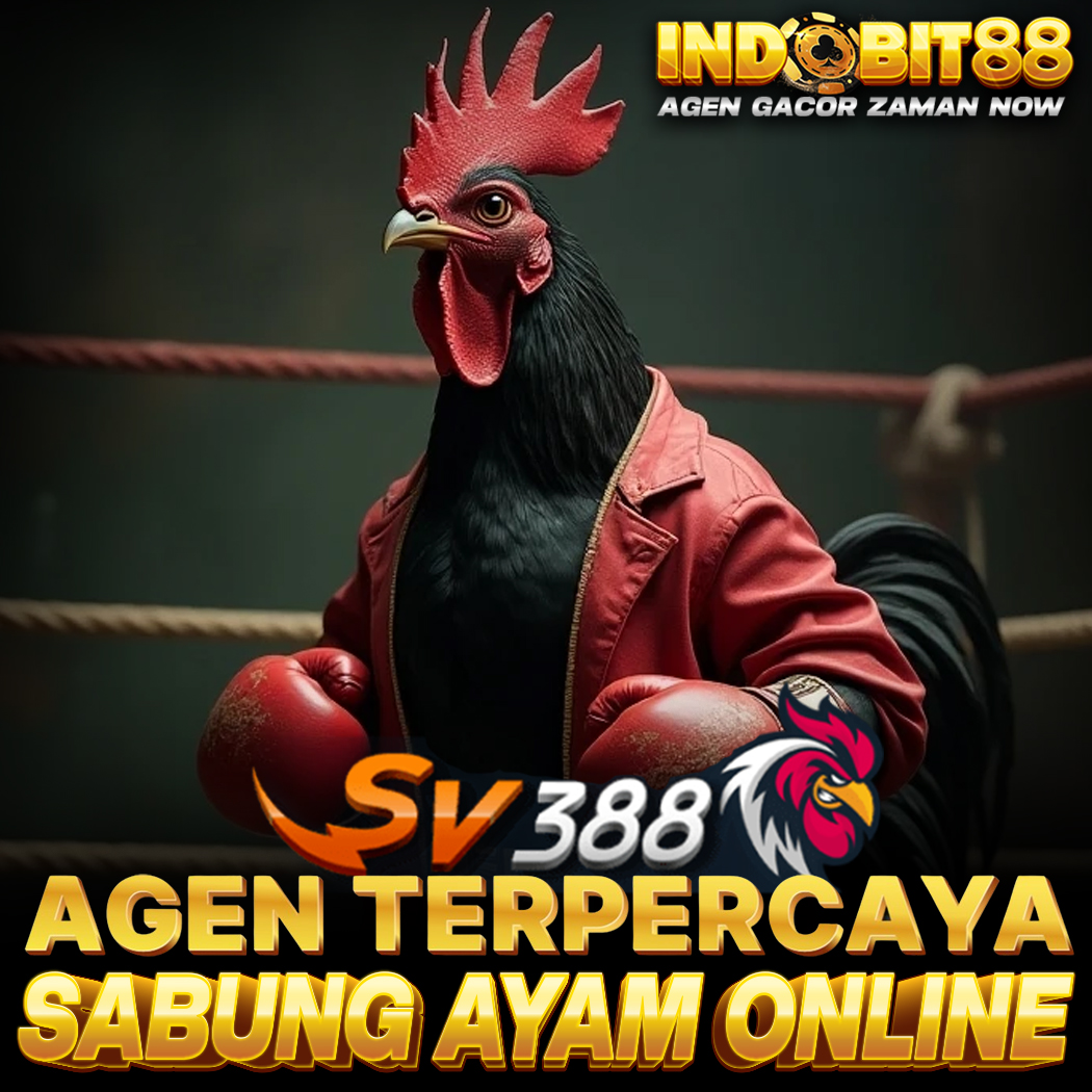 SV388 : Situs Resmi Agen Sabung Ayam Online Taruhan Wala Meron Filipina